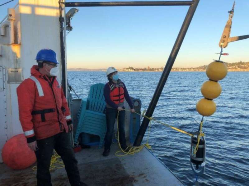 Bubbles of methane rising from seafloor in Puget Sound