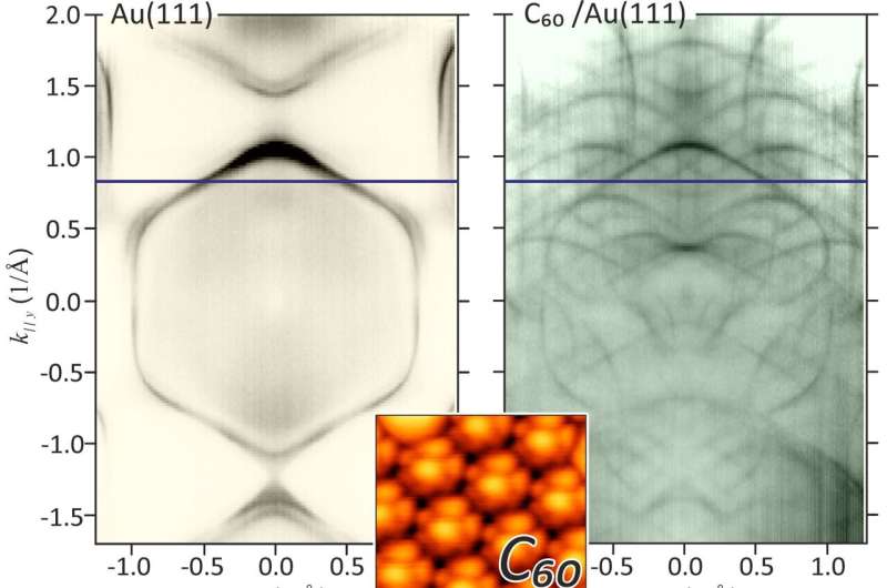 Buckyballs on gold are less exotic than graphene