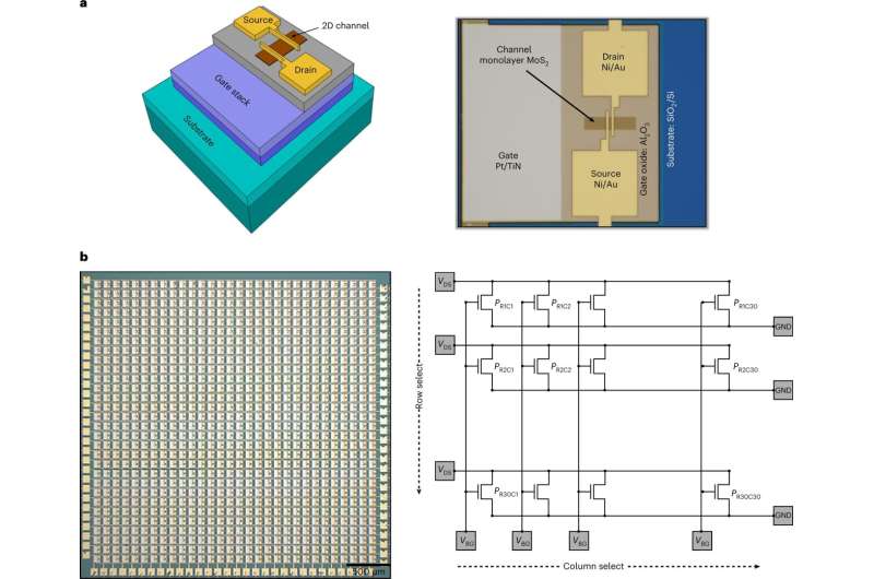 Construire un capteur d'imagerie de 900 pixels à l'aide d'un matériau atomiquement mince