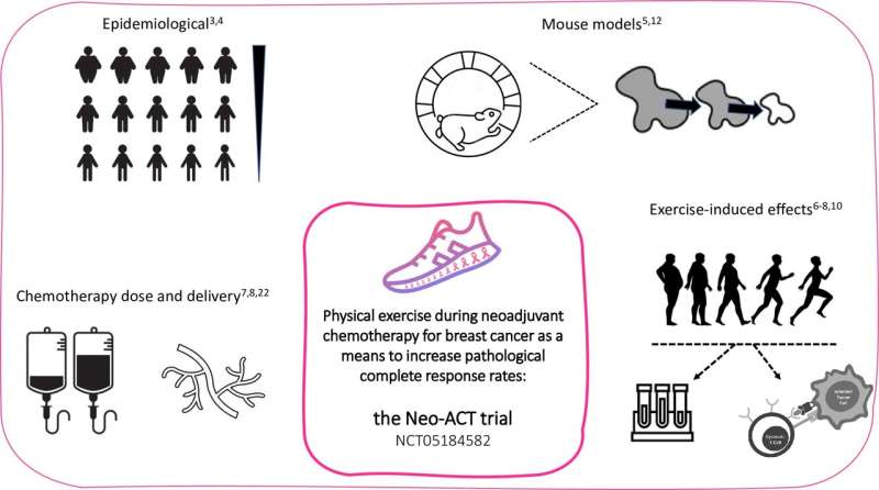 Can physical exercise enhance the effect of chemotherapy against breast cancer?