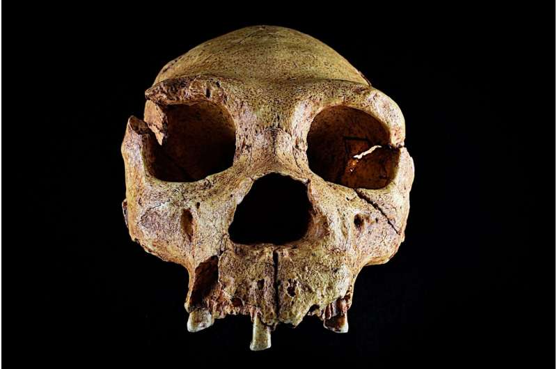 Canterbury suburbs were home to some of Britain’s earliest humans, 600,000-year-old finds reveal