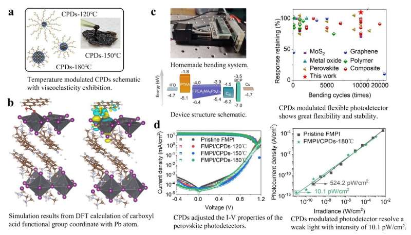 Carbonized polymer dots enhanced stability and flexibility of quasi-2D perovskite photodetector