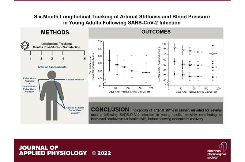 Cardiovascular recovery in young adults takes several months after COVID-19 infection