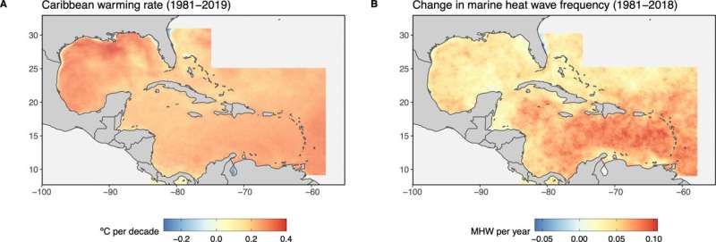 Caribbean coral reefs have been warming for at least 100 years