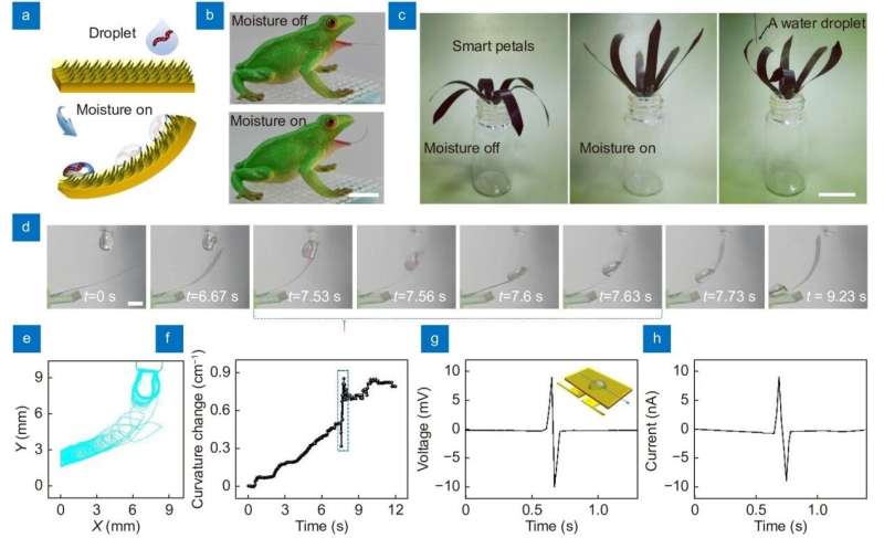 Carnivorous plants inspire smart slippery surfaces and bionic robots