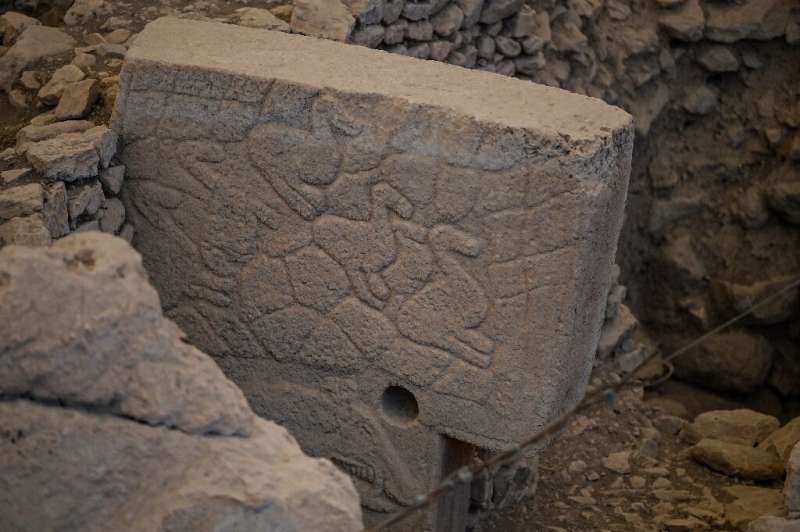 Carvings of ducks on one of the pillars at the prehistoric Gobekli Tepe site in Sanliurfa, Turkey.