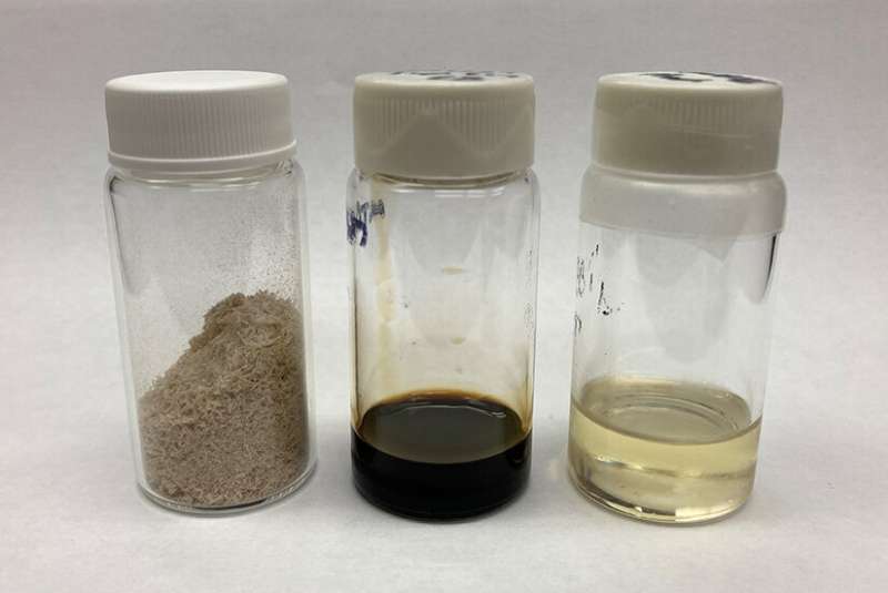 Catalytic process with lignin could enable 100% sustainable aviation fuel