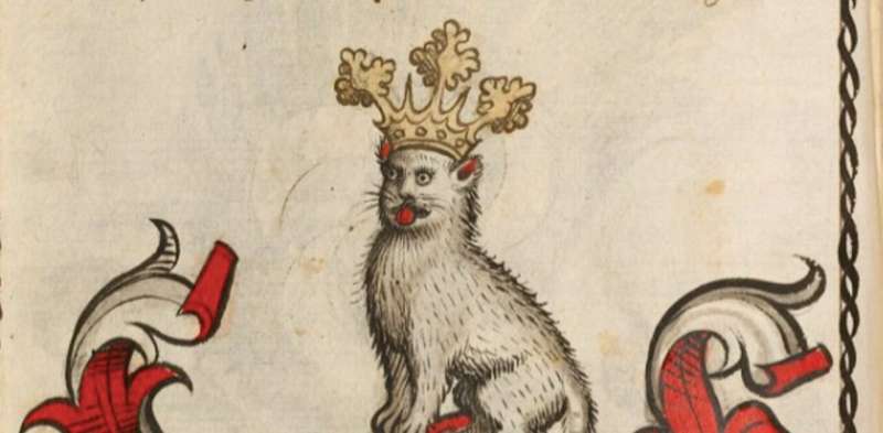 Cats in the Middle Ages: what medieval manuscripts tell us about the pets of our ancestors