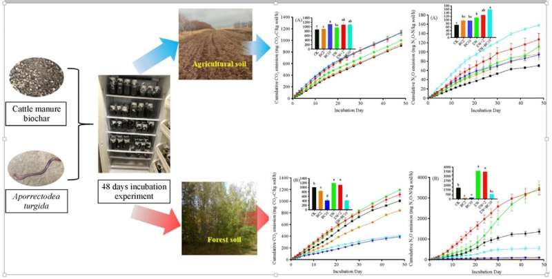 Cattle manure biochar offset earthworm greenhouse gas emissions in forest soil