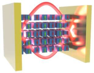 CCNY researchers create new magnetic quasiparticle