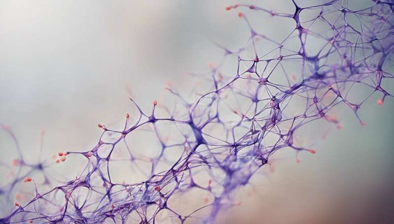Cell chatter tells story of arterial thickening