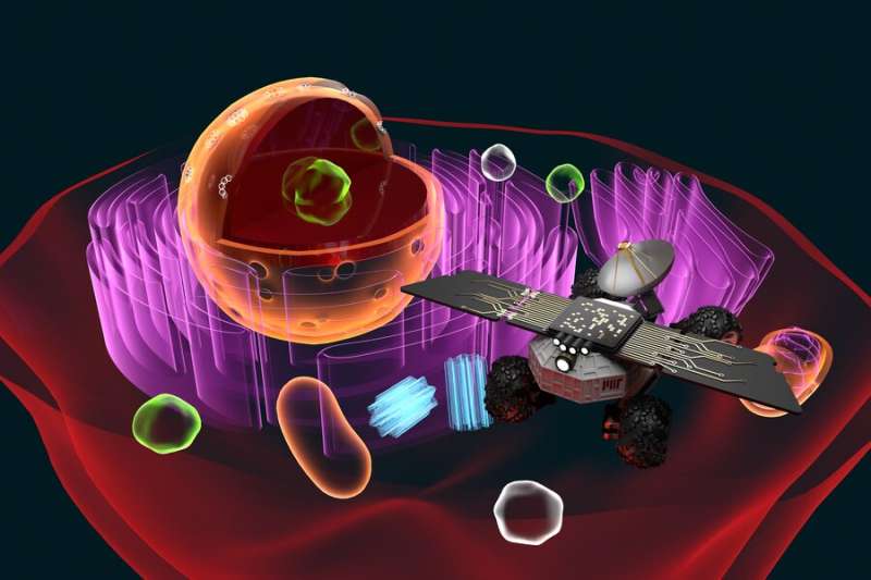 Cell Rover: Exploring and augmenting inner world of cell