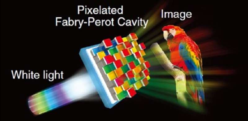 Centimeter-scale multicolor printing with a pixelated optical cavity