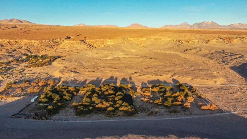 Chajnantor, one of the vineyards in the middle of Chile's Atacama desert
