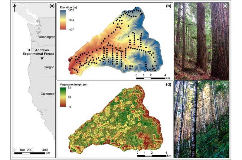 Characteristics of older forests can buffer effects of climate change for some bird species