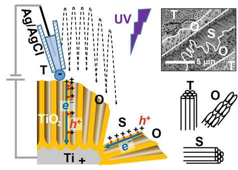 Charge separation imaging on the surfaces of titanium dioxide photoelectrocatalytic nanotubes