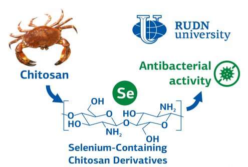 Chemists receive an antimicrobial drug from harmless chitin and selenium