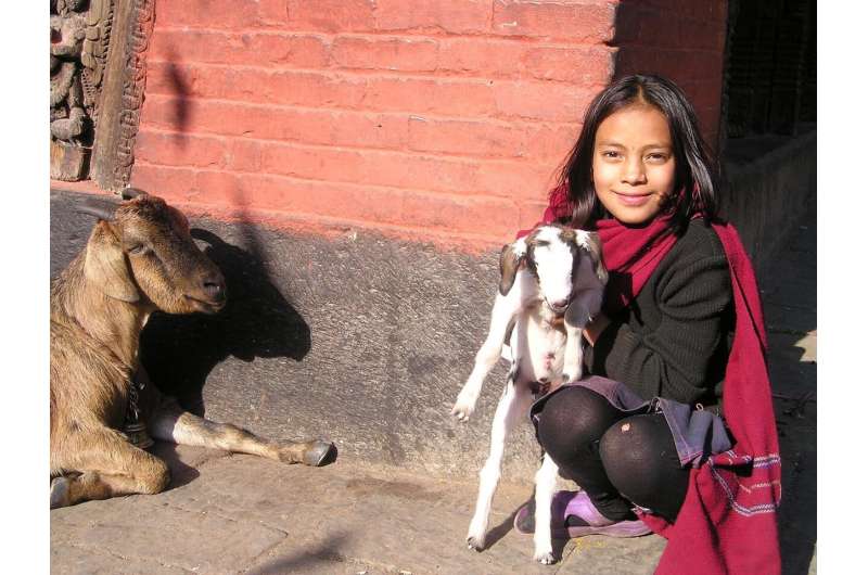 child with goat