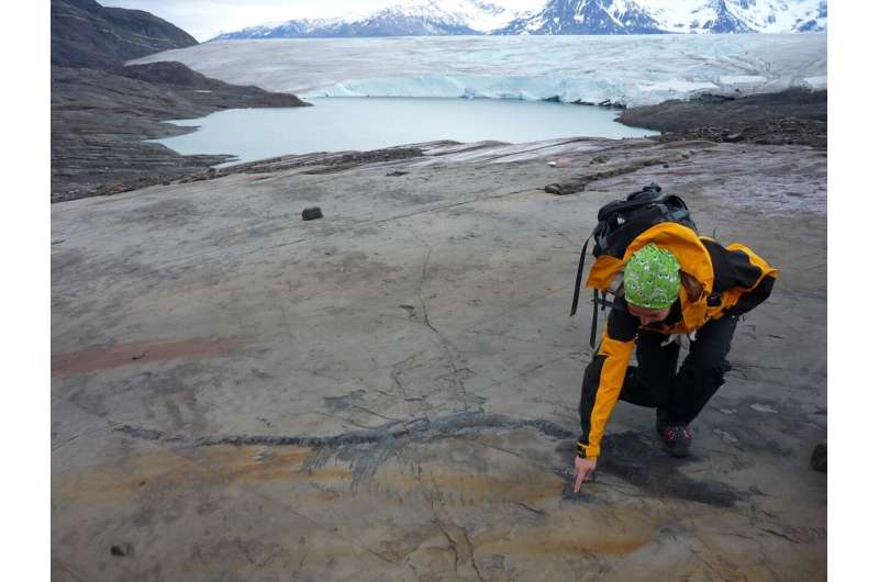 Chile’s first complete ichthyosaur recovered from a glacier in Patagonia