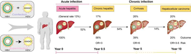 Chinese Medical Journal Review shines a light on the overlooked virus, hepatitis D