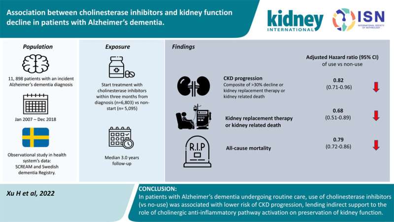 Cholinesterase inhibitors help Alzheimer's patients preserve kidney function