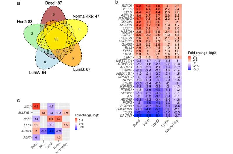 Chronic stresses of racism and poverty alter cellular functions that promote tumor growth and proliferation