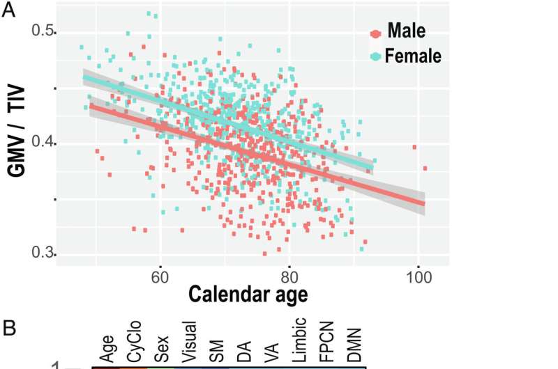 Chronological age, biological age and gender affect the shrinkage of different brain areas