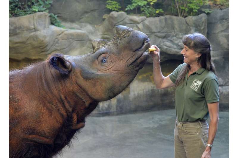 Cincinnati Zoo shares expertise with Indonesia to save endangered rhinos