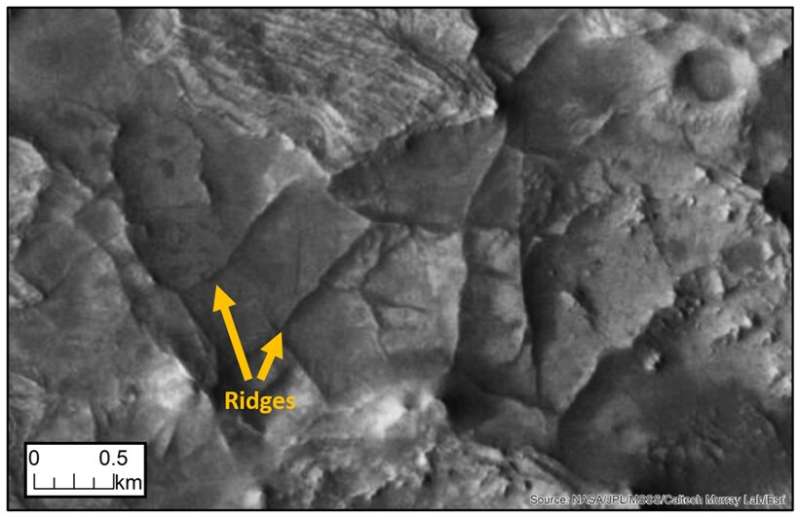 Citizen scientists help map ridge networks on Mars