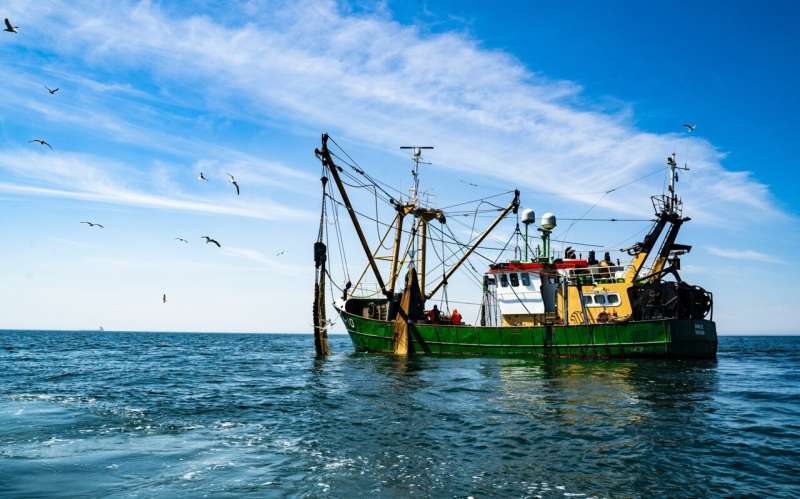 Climate change has likely begun to suffocate the world’s fisheries