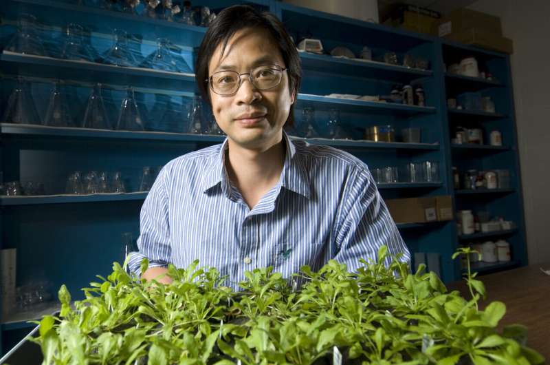 Climate change is making plants more vulnerable to disease. New research could help them fight back