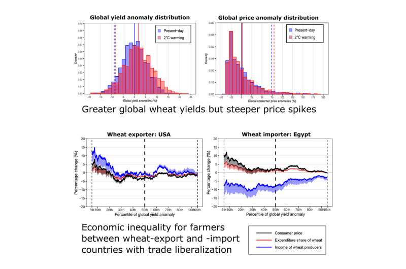 Climate change may cause steeper wheat price spikes and economic inequality
