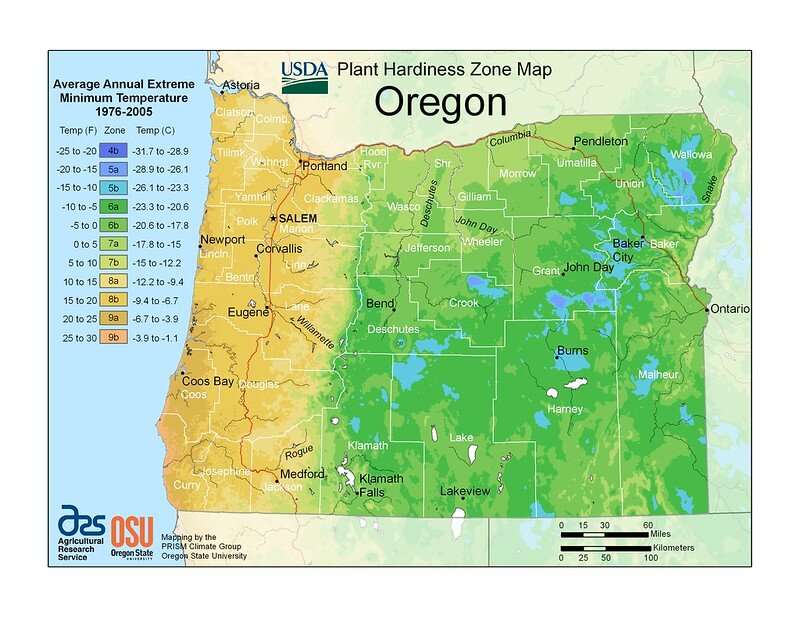 Climate change results in projected shifts in plant hardiness zones