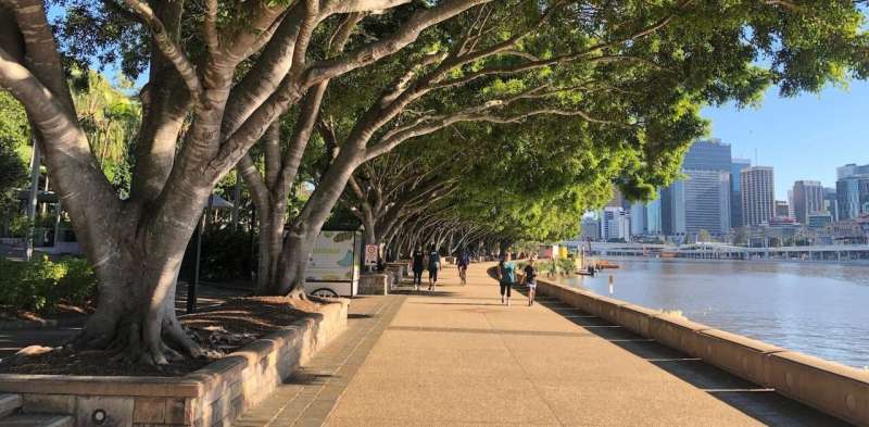 Climate change threatens up to 100% of trees in Australian cities, and most urban species worldwide