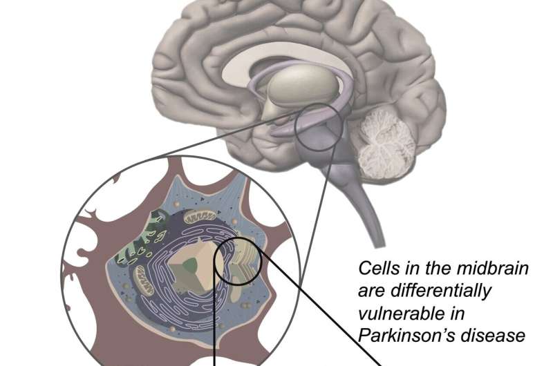 Clinical trial suggests Parkinson’s drug is safe in humans
