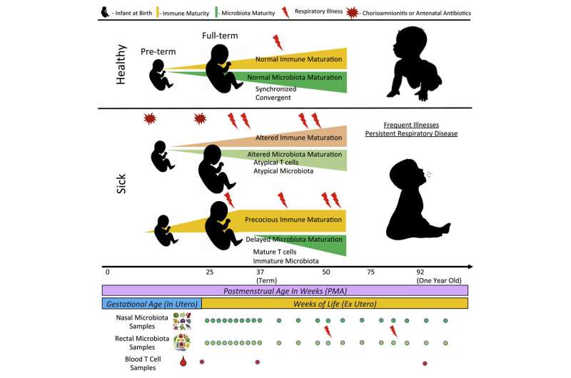 Co-development of gut microbiome, respiratory and immune systems directly impact baby's development
