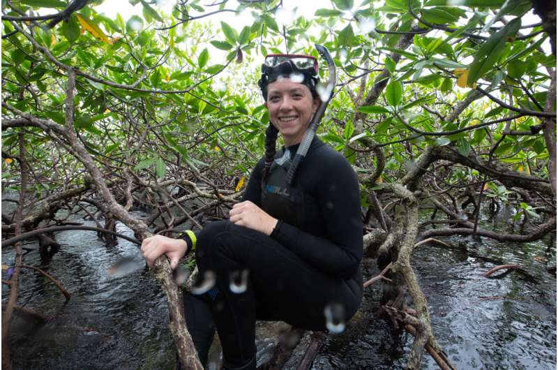 Co-existing mangrove-coral habitats have a new global classification system