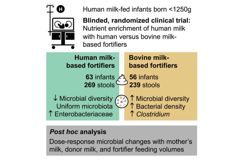 Comparing gut biome diversity in preemies fed human versus bovine-derived milk fortifiers