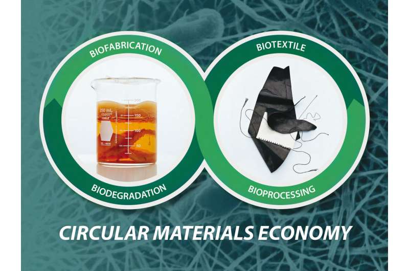 Compostable bioleather offers sustainable solutions for the clothing industry and beyond