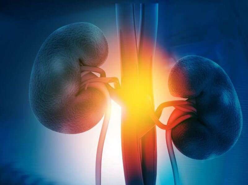 Comprehensive symptom assessment should happen early with CKD