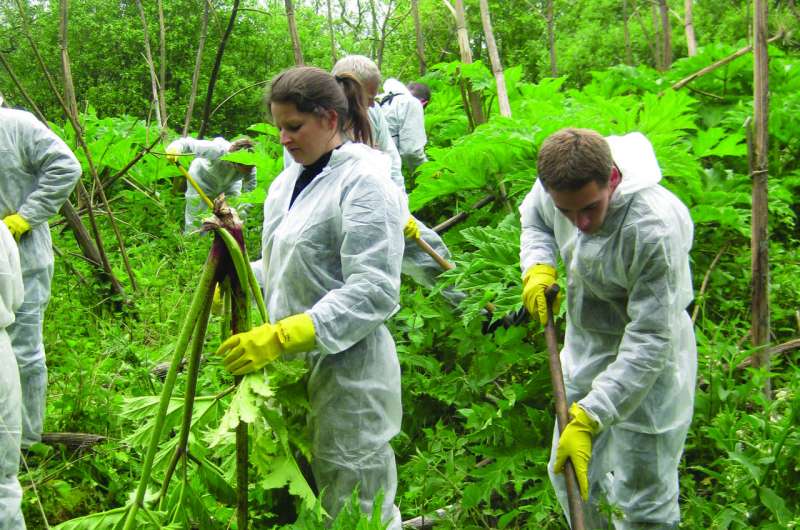 Concerned about native biodiversity, volunteers join the fight against invasive alien species