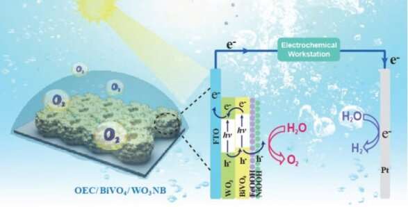 Conformal BiVO4/WO3 nanobowl array photoanode for efficient photoelectrochemical water splitting