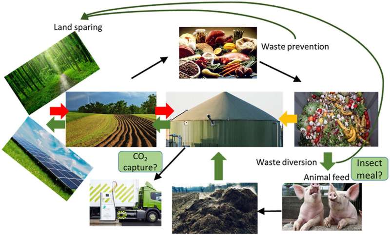Converting organic waste to biogas is good for the climate, but waste prevention is much better