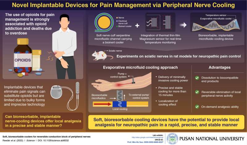 Cooling away the pain: Pusan National University researchers develop bioresorbable, implantable device to block pain signals fro