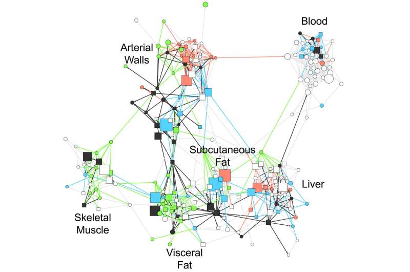 Could gene networks resembling air traffic explain arteriosclerosis?