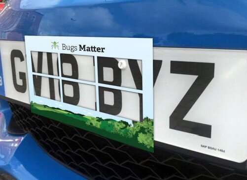 Counting bug splats on vehicle license plates shows numbers of flying insects has dropped significantly