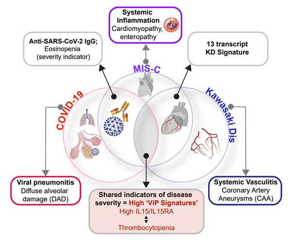COVID-19, MIS-C and Kawasaki disease share same immune response