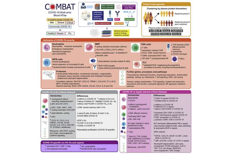 COVID-19 Multi-Omic Blood Atlas (COMBAT) published