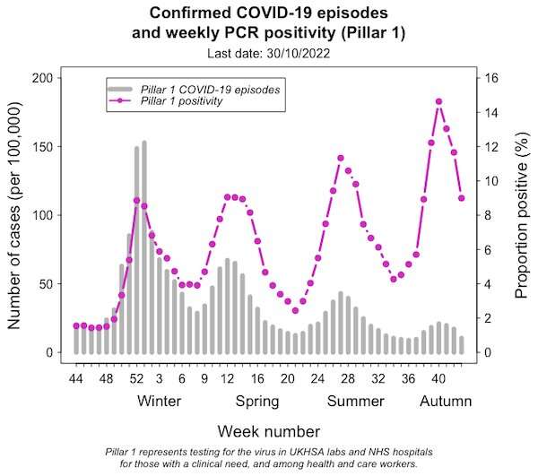 COVID, flu, RSV—how this triple threat of respiratory viruses could collide this winter
