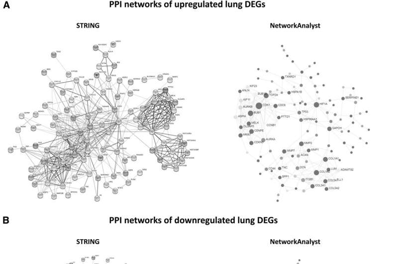 Covid Systems Biology Uncovers New Genetic Signatures in Lung and Whole Blood